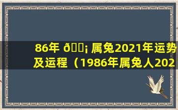 86年 🐡 属兔2021年运势及运程（1986年属兔人2021年运势及 🦟 运程）